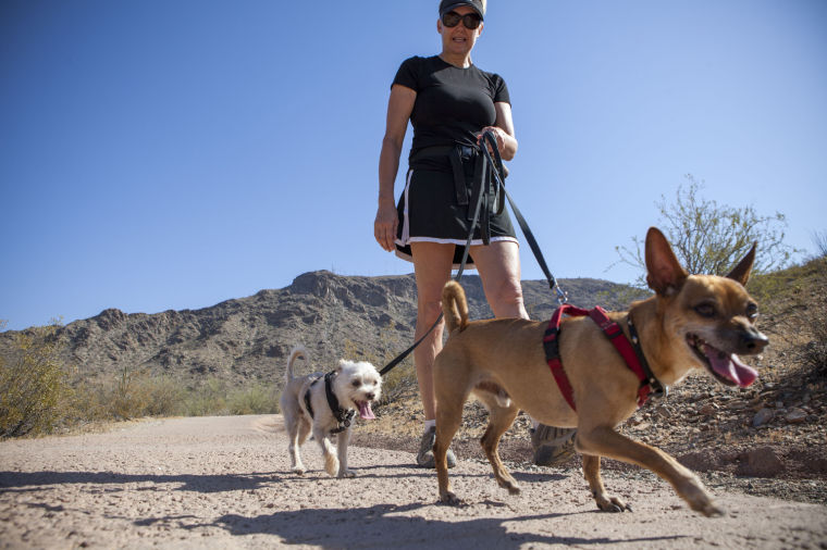 Dog Hike